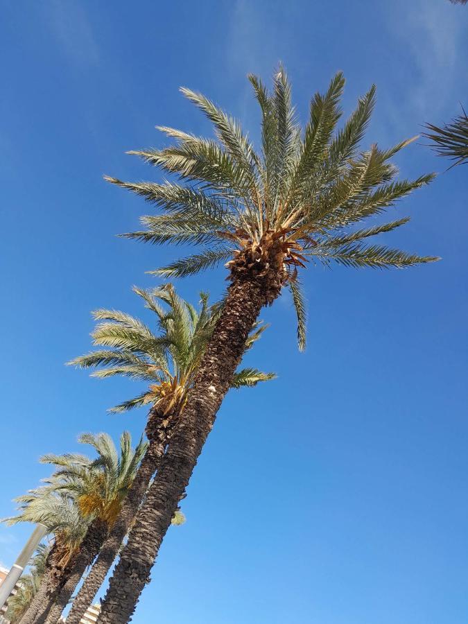 Stylowy Apartament Harmonia Playa Del Cura, Hiszpania Daire Torrevieja Dış mekan fotoğraf