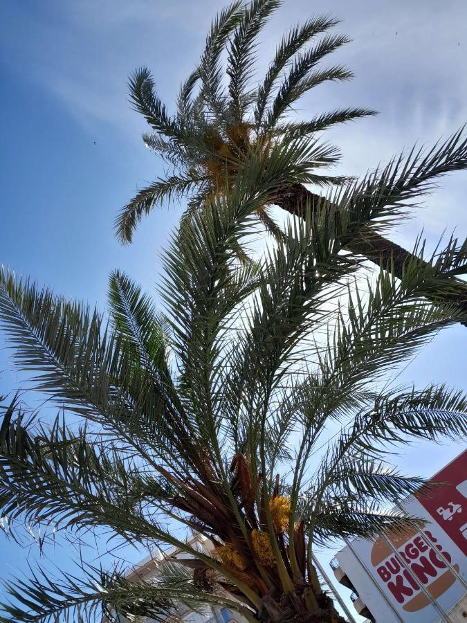 Stylowy Apartament Harmonia Playa Del Cura, Hiszpania Daire Torrevieja Dış mekan fotoğraf