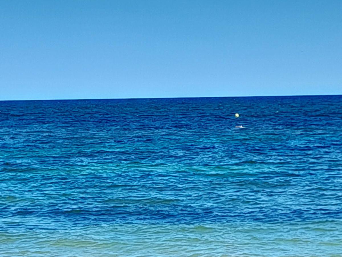 Stylowy Apartament Harmonia Playa Del Cura, Hiszpania Daire Torrevieja Dış mekan fotoğraf