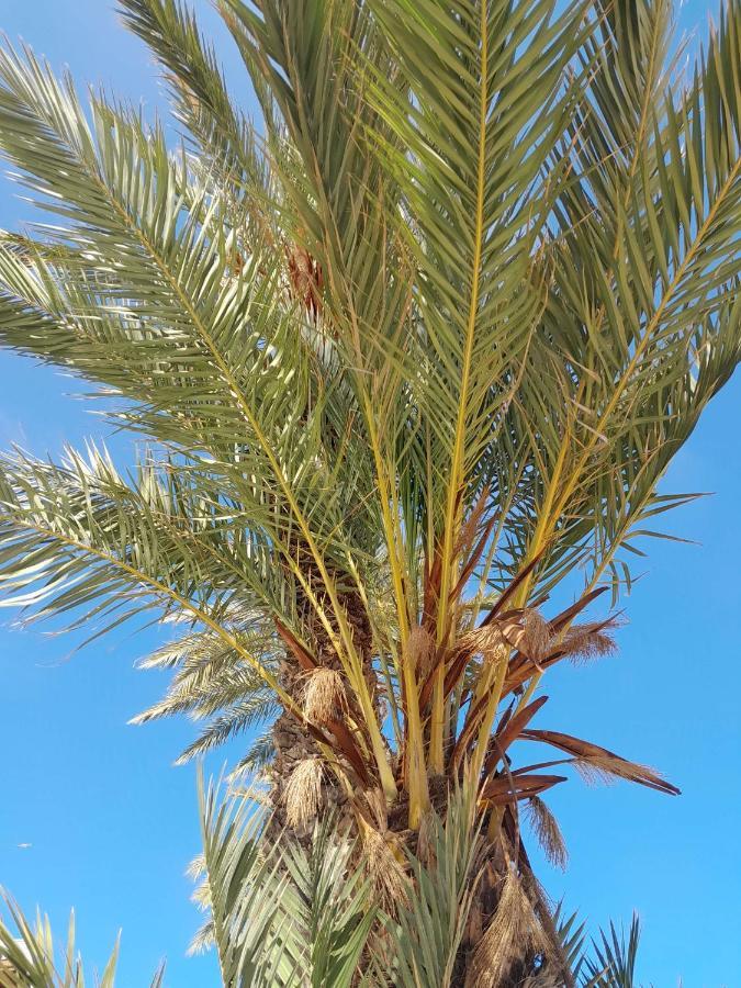 Stylowy Apartament Harmonia Playa Del Cura, Hiszpania Daire Torrevieja Dış mekan fotoğraf