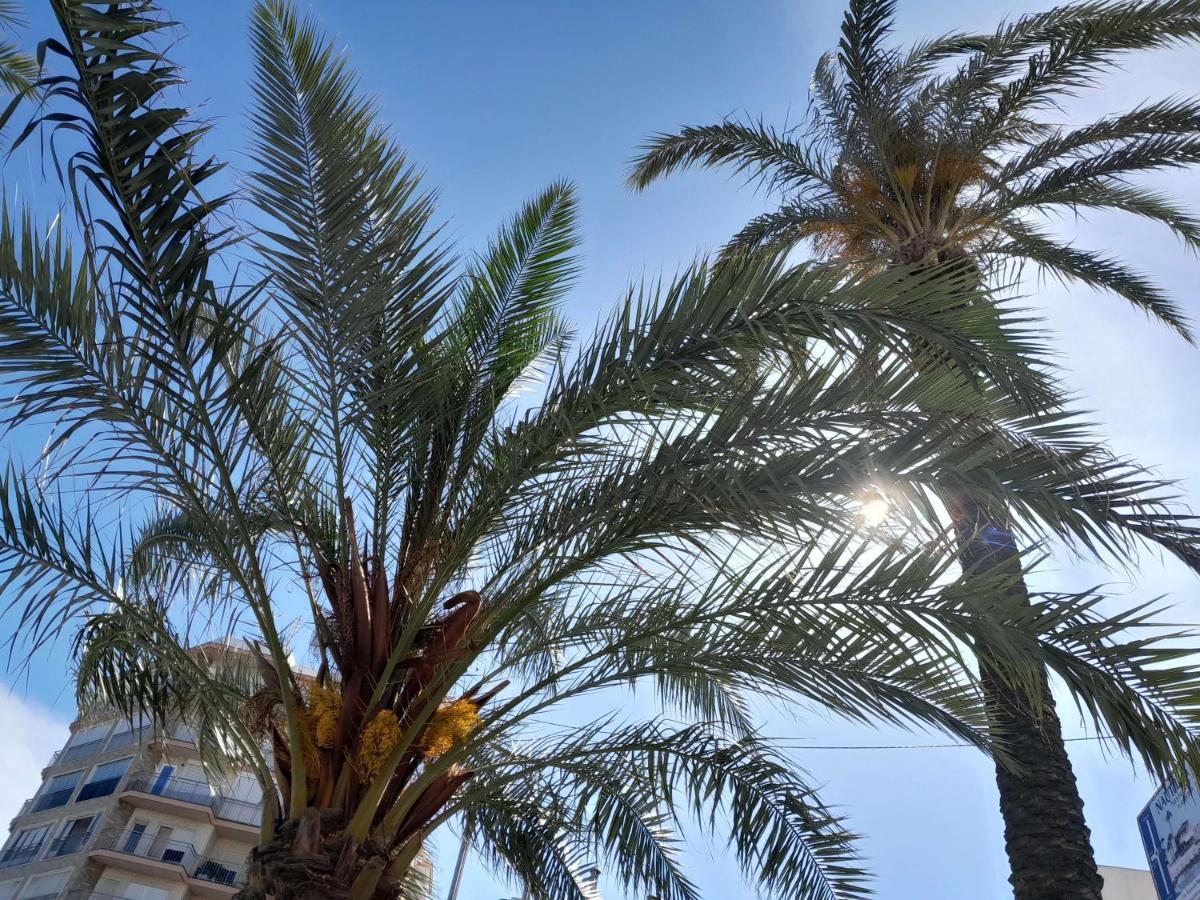 Stylowy Apartament Harmonia Playa Del Cura, Hiszpania Daire Torrevieja Dış mekan fotoğraf