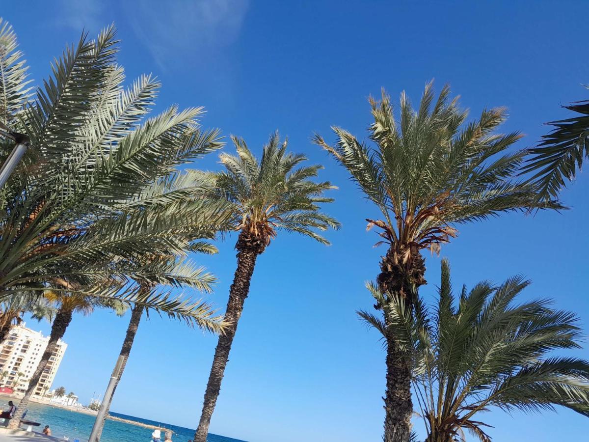 Stylowy Apartament Harmonia Playa Del Cura, Hiszpania Daire Torrevieja Dış mekan fotoğraf