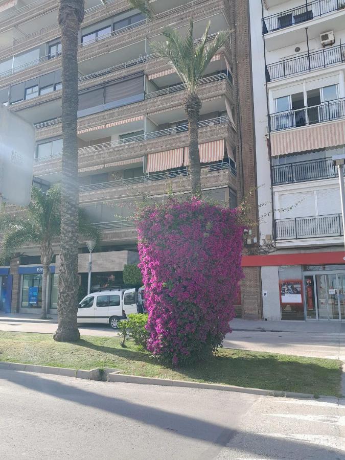 Stylowy Apartament Harmonia Playa Del Cura, Hiszpania Daire Torrevieja Dış mekan fotoğraf